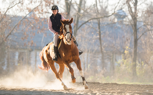 Horseback Riding